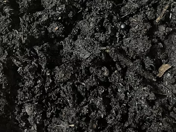 Mud texture (ID:ffaag06550)