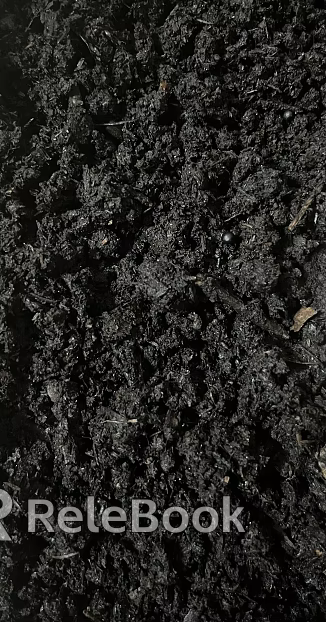 Mud texture