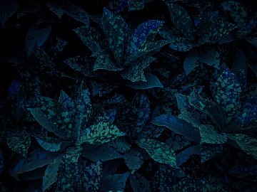 leaves texture (ID:ffabg10929)