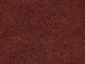 fine grain leather 3d model