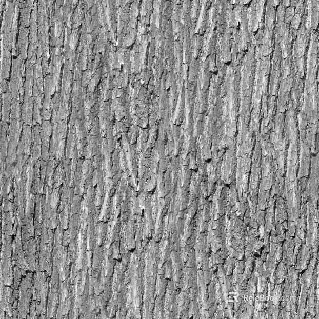 bark texture