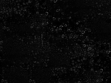 Black and White Bump texture (ID:ffacg51526)