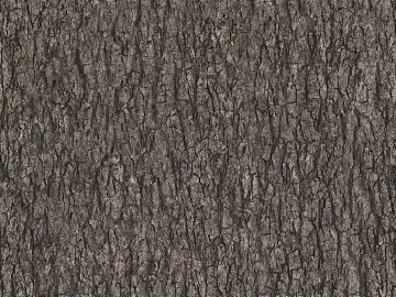 bark texture (ID:ffaag13871)