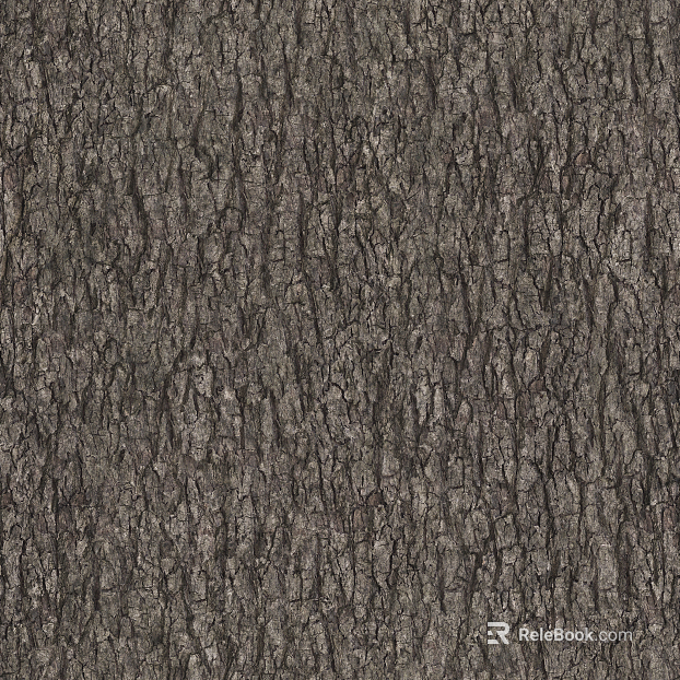 bark texture