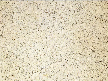 Plain Tile Portuguese Beige texture (ID:ffagg11999)