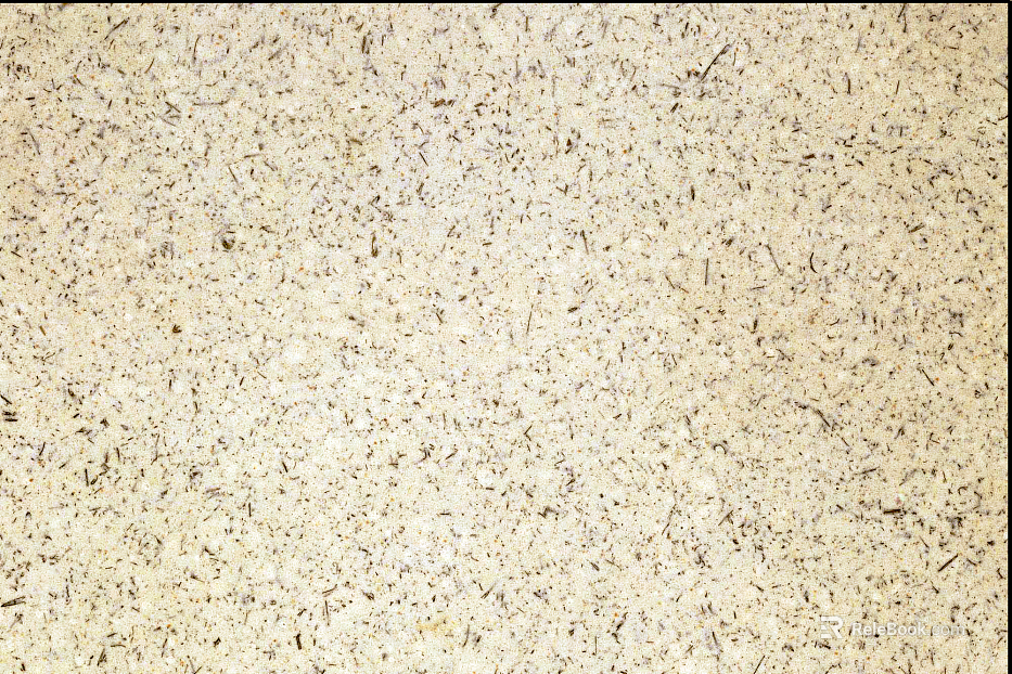 Plain Tile Portuguese Beige texture