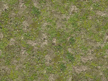 Grassland texture (ID:ffaag24200)