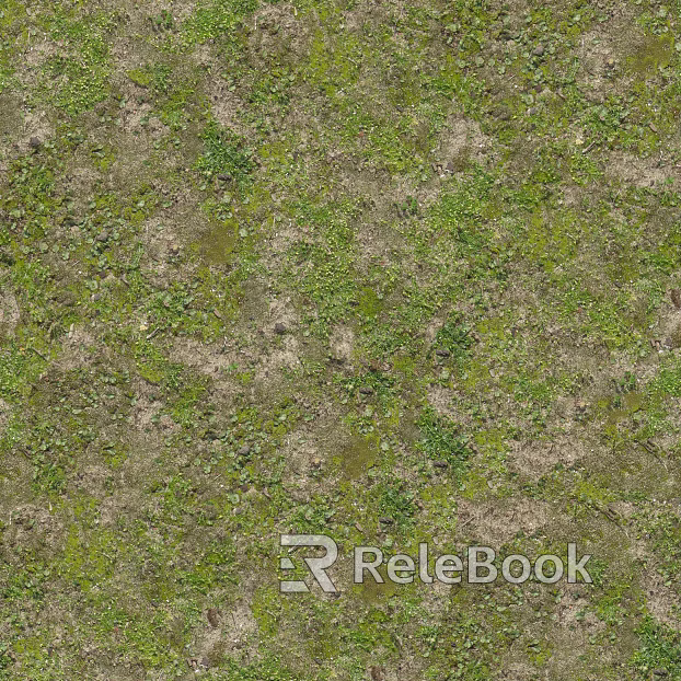 Grassland texture