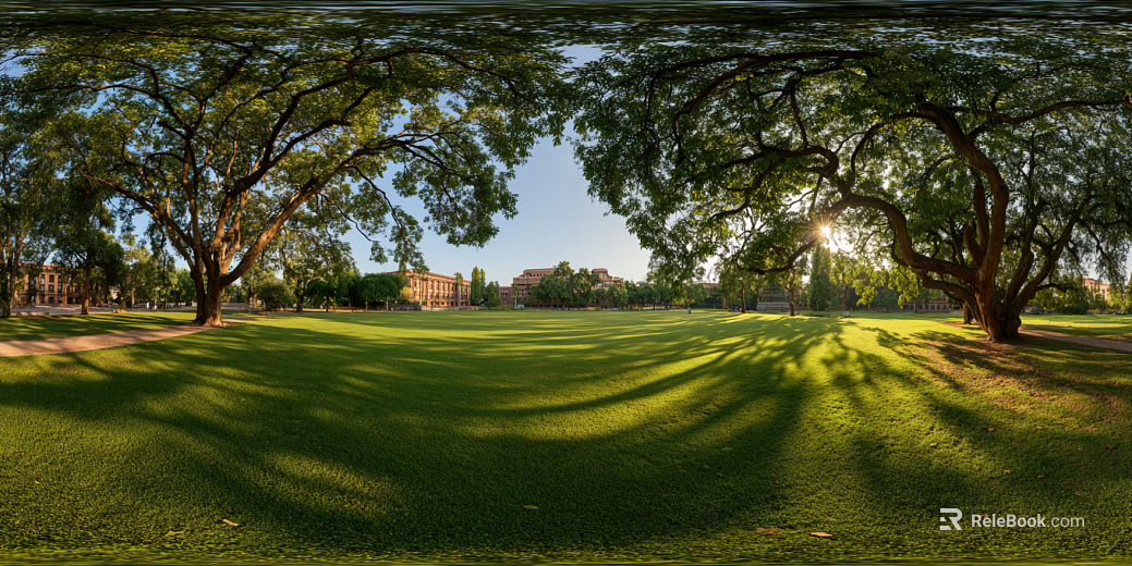 Blue Sky White Clouds Lawn Forest Landscape HDR texture