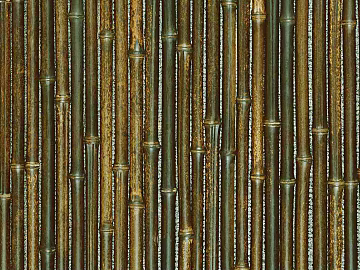 Bamboo texture (ID:ffagg35971)
