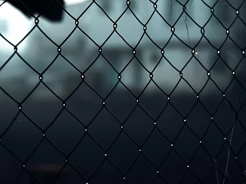 Barbed wire texture (ID:ffagg58615)