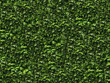 Plants texture (ID:ffaag76134)
