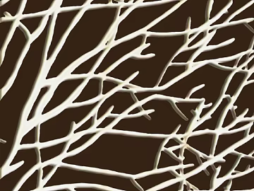 Branch texture (ID:ffaag75287)