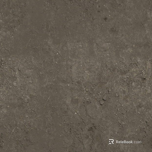 Mud land, sandy land, outdoor land texture