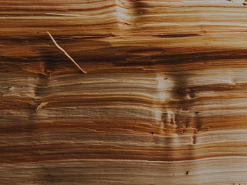 Wood grain texture (ID:ffagg75713)