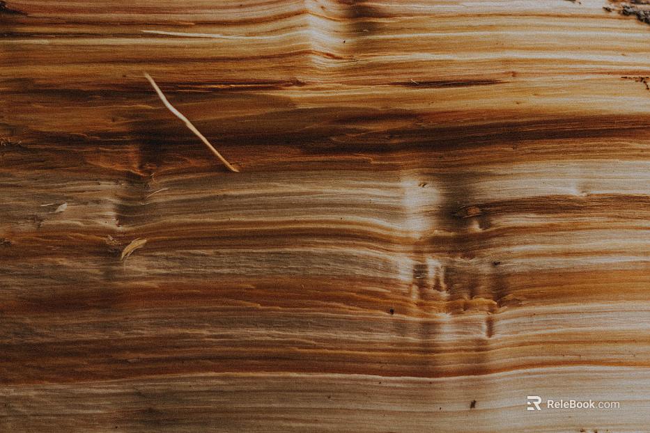 Wood grain texture