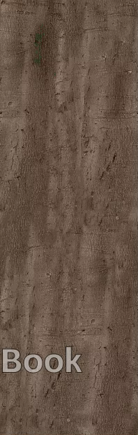 bark texture