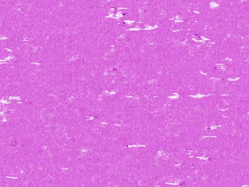 Paint texture (ID:ffabg36465)
