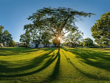 Blue sky white clouds lawn forest landscape panorama texture (ID:ffach864738)