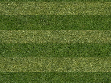 Turf texture (ID:ffaeg61898)