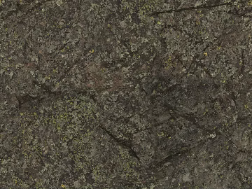 moss texture (ID:ffaef3658)