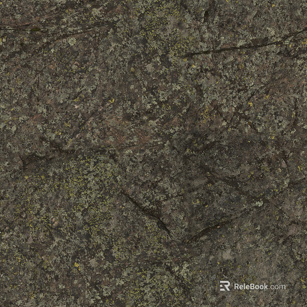 moss texture
