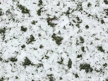 Ground-Snow texture (ID:ffhee713)