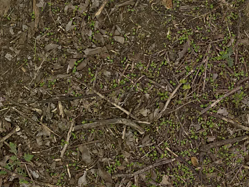 Ground texture (ID:ffacg54885)