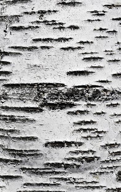 Black and White Bump texture