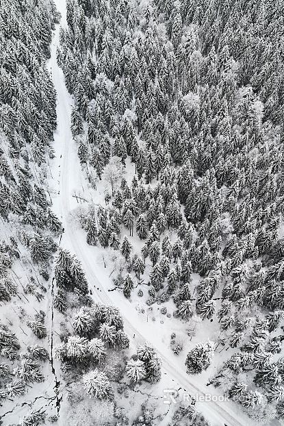 Snow texture