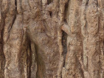 bark texture (ID:ffajg36596)