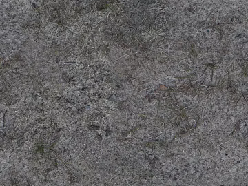 ground grass lawn turf plants sand texture (ID:ffach654774)