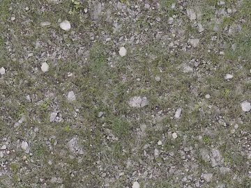 Turf ground texture (ID:ffaaf2778)
