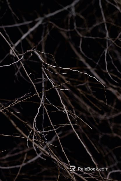 Branch texture