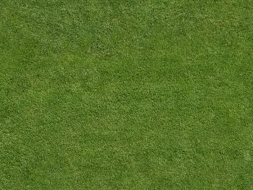 Turf texture (ID:ffagg03674)