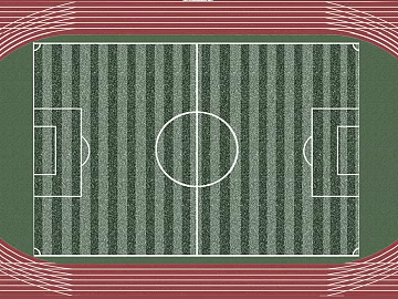football field texture (ID:ffajg43568)