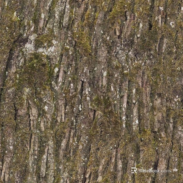 Brown green tree bark natural decoration texture