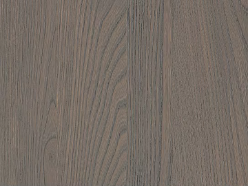 elm texture (ID:ffach211220)