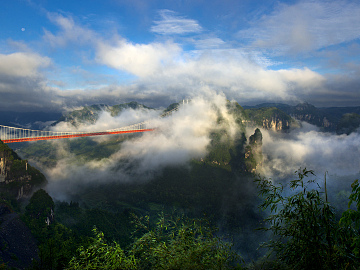 Wild Scenery texture (ID:ffajg67078)