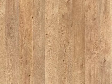 Oak texture (ID:ffajh885397)