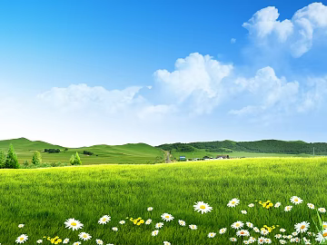 Wild Scenery texture (ID:ffaaf8350)