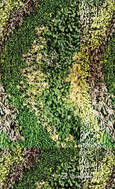 Plants texture