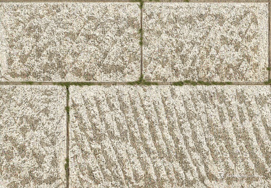 Stone Paving texture