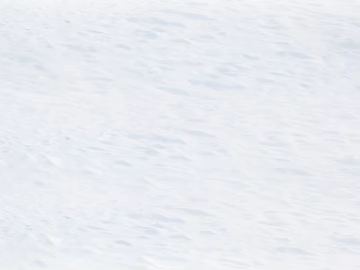 white snow texture (ID:ffach294774)