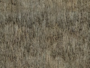 Thatch texture (ID:ffajg66357)