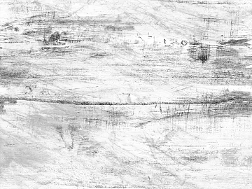 black and white old wood texture (ID:ffaag72604)