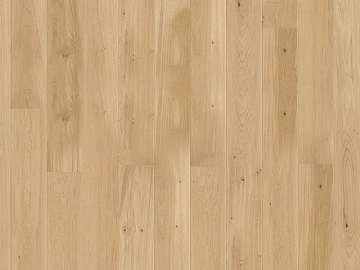 Wood Flooring Plain Wood Flooring 3d model