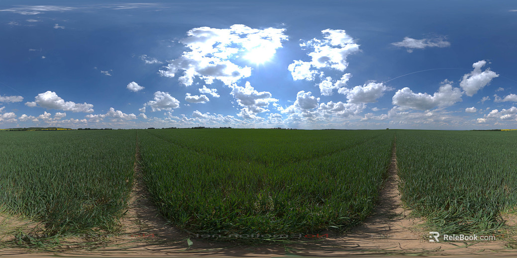 Field texture