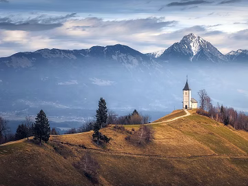 Wild Scenery texture (ID:ffaeg96792)