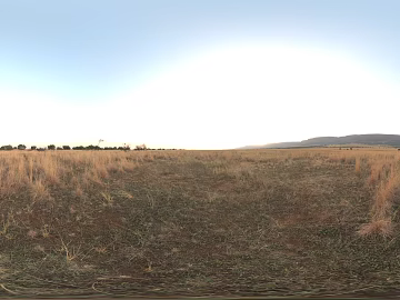 Outdoor Wild Grass Garden Sunny Day texture (ID:ffajh981257)